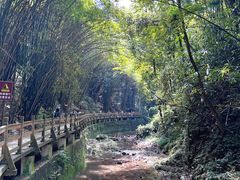 -凤栖山