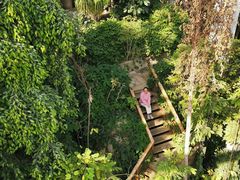 -郑州植物园