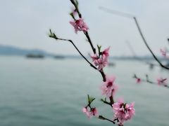 -西湖天地