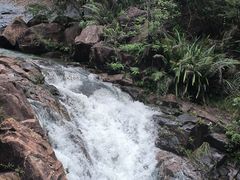 -广州白江湖森林公园