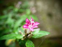 -碓臼峪自然风景区