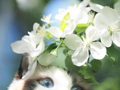 -辛香汇·现炒川菜(武进吾悦店)
