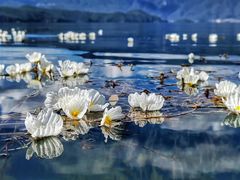 -丽江泸沽湖景区