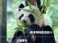 -广州长隆野生动物世界