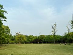 -长广溪湿地公园