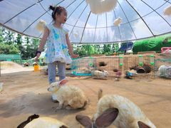 -前小桔亲子创意农场·草莓采摘·露营烧烤