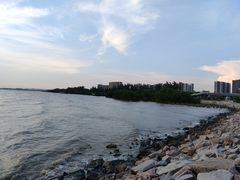 -宝安西湾红树林湿地公园