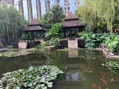 -昆明洲际酒店