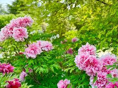 -河南省黄河迎宾馆