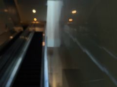 -江苏省美术馆(长江路新馆)