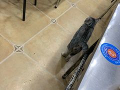 -清真·穆萨砂锅(大皮院店)