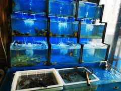 水产区-老东镇啤酒屋海鲜加工·蒸汽海鲜·海鲜烧烤(台东店)