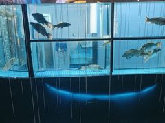 -王家渡火锅店(棕榈泉店)