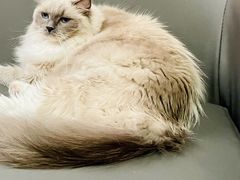 -零纪元VR体验馆·桌游(黄浦店)