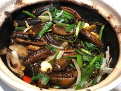 黄鳝啫啫煲-惠食佳(滨江大公馆店)