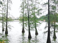 -南国桃园旅游度假区