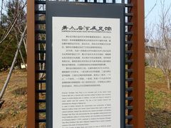 -马家湾湿地公园