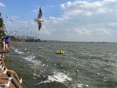 -滇池海埂公园