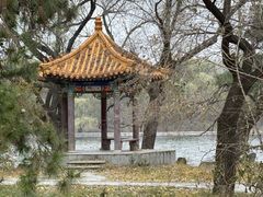 -北陵公园