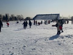 -绿野森林乐园冰雪季