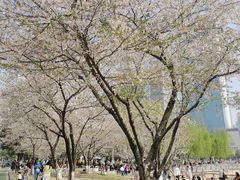 -西北湖绿化广场