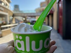 -Salud撒露欧洲冻酸奶(蓝色港湾店)