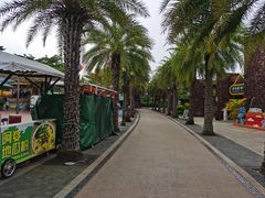 -三亚海昌梦幻海洋不夜城