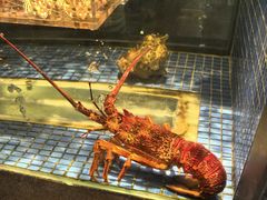 -荣轩(新荣记环球金融中心店)