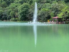 -广州白江湖森林公园