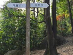 -火炉山森林公园