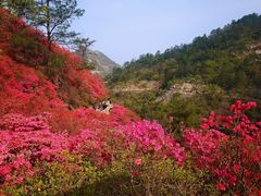 -木兰云雾山