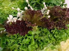 -五悦北平四季涮肉·烧烤(老商埠店)