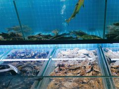 -海鲜时间自助餐厅(如皋万达广场店)