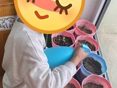 -红黄蓝幼儿园(颐东苑店)