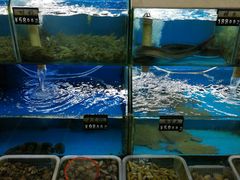 水产区-前王院•巧克力海鲜市集餐厅(万平口店)