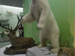 -国家自然博物馆