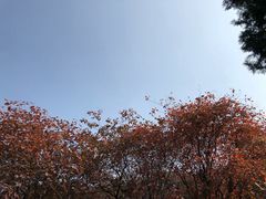-石门坊