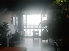 -梵猫·新养生(湛江鼎盛店)