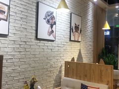 -藏猫猫咖啡主题馆(中央大道店)