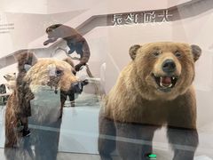 -武汉园博园(武汉自然博物馆)