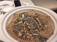 -双海潮·海鲜融合菜(如是海店)