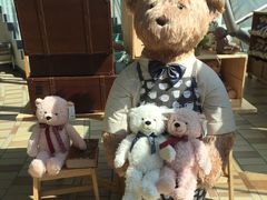 -济州岛泰迪熊博物馆