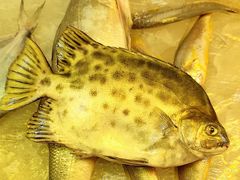 -阳江市第一市场