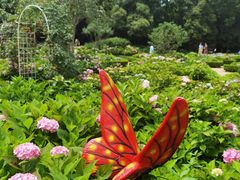 -上海共青森林公园