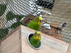 -南宫五洲植物乐园