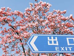 -上海辰山植物园
