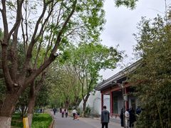 -丰台科技园生态主题公园