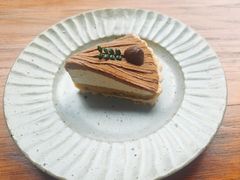 -猫里有甜