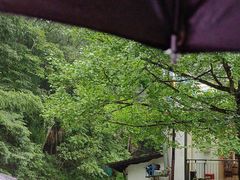 -青城山