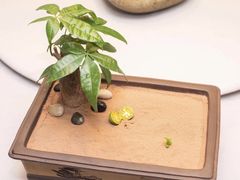 -不贰小院(余姚多元文化创意园店)